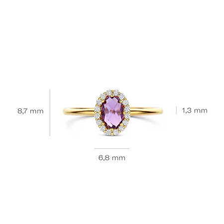 Blush Blush Ring 14k geelgoud met Amethist en zirkonia 1271YAM
