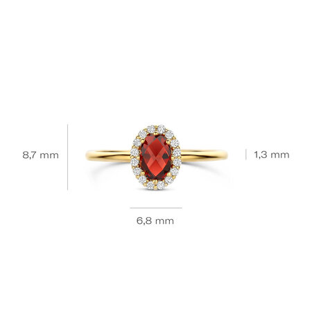 Blush Blush Ring 14k geelgoud met Granaat en zirkonia 1271YGA