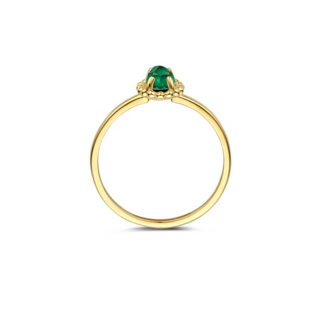 Blush Blush Ring 14k geelgoud met Malachiet 1272YMA