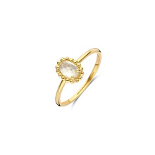 Blush Blush Ring 14k geelgoud met Parelmoer en Bergkristal 1272YMQ