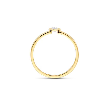 Blush Blush Ring 14k geelgoud met zirkonia 1273YZI