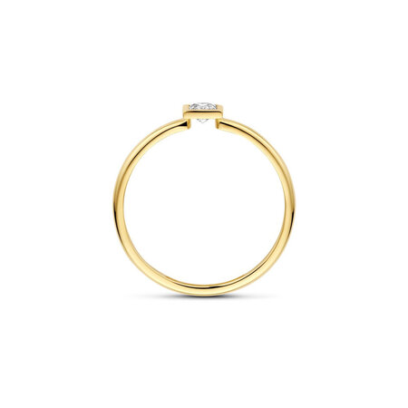 Blush Blush Ring 14k geelgoud met zirkonia 1274YZI
