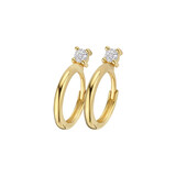 Blush Blush Creolen 14k geelgoud met zirkonia 7372YZI