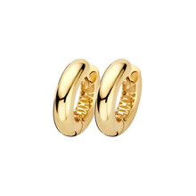 Blush BLUSH Creolen 14k geelgoud LG7023Y