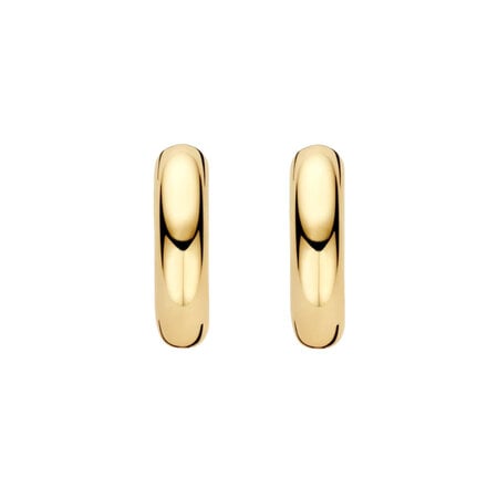 Blush BLUSH Creolen 14k geelgoud LG7023Y