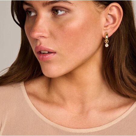 Blush BLUSH Creolen 14k geelgoud LG7023Y