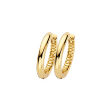 Blush Blush Creolen 14k geelgoud LG7022Y