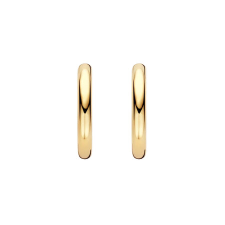 Blush Blush Creolen 14k geelgoud LG7022Y