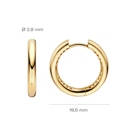 Blush Blush Creolen 14k geelgoud LG7022Y