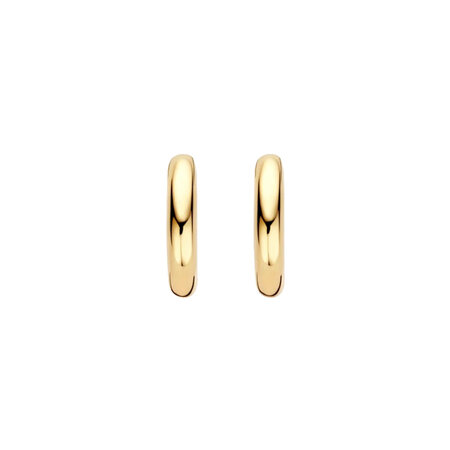 Blush Blush Creolen 14k geelgoud LG7021Y