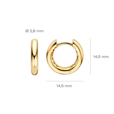 Blush Blush Creolen 14k geelgoud LG7021Y