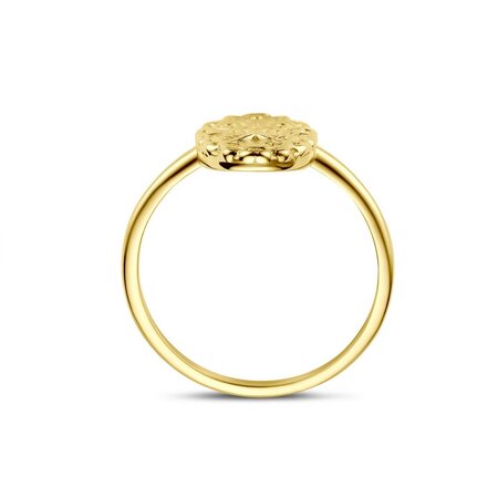 Mrs.Janssen Mrs.Janssen Ring 14k geelgoud 615331