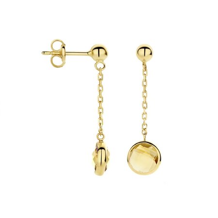 HuisCollectie HuisCollectie Oorhangers 14k geelgoud met Citrien 615326
