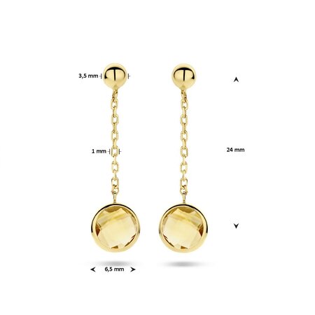 HuisCollectie HuisCollectie Oorhangers 14k geelgoud met Citrien 615326