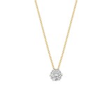 Blush Blush Diamonds Collier 14k Geelgoud met 0.15ct diamant 3603BDI