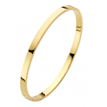 Fjory FJORY Armband 14k Geelgoud 3mm vlak 40-A385803