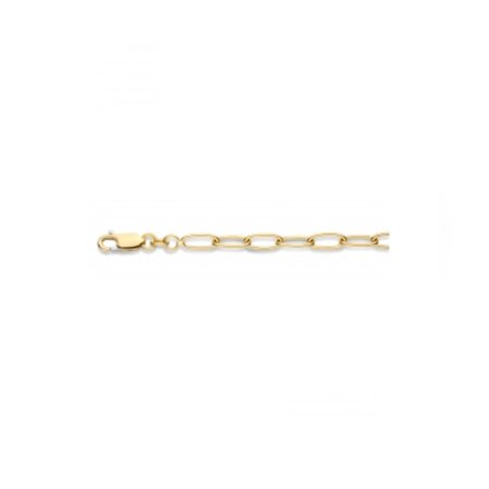 Fjory Fjory Armband 14k geelgoud 4.5mm 40-ANK04,519