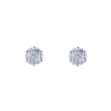 HuisCollectie HuisCollectie Oorstekers 14k witgoud met 0.33ct diamant 615754