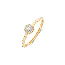 Blush Blush Ring 14k geelgoud met zirkonia 1277YZI