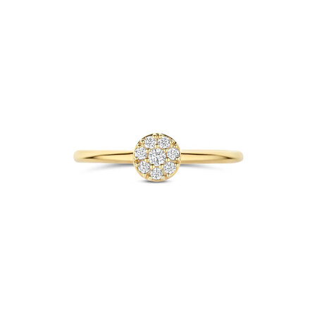 Blush Blush Ring 14k geelgoud met zirkonia 1277YZI