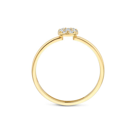 Blush Blush Ring 14k geelgoud met zirkonia 1277YZI