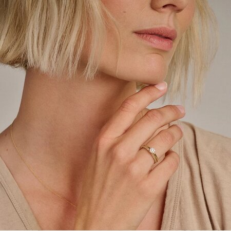 Blush Blush Ring 14k geelgoud met zirkonia 1277YZI