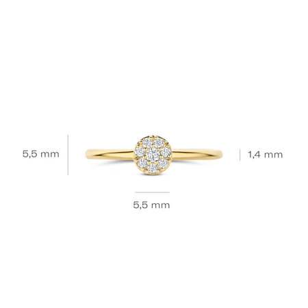 Blush Blush Ring 14k geelgoud met zirkonia 1277YZI