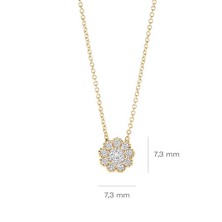 Blush Blush Collier 14k geelgoud met zirkonia 3196YZI