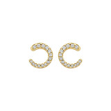 Blush Blush Oorstekers 14k geelgoud met zirkonia 7378YZI