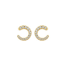 Blush Blush Oorstekers 14k geelgoud met zirkonia 7378YZI