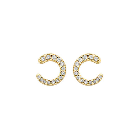 Blush Blush Oorstekers 14k geelgoud met zirkonia 7378YZI