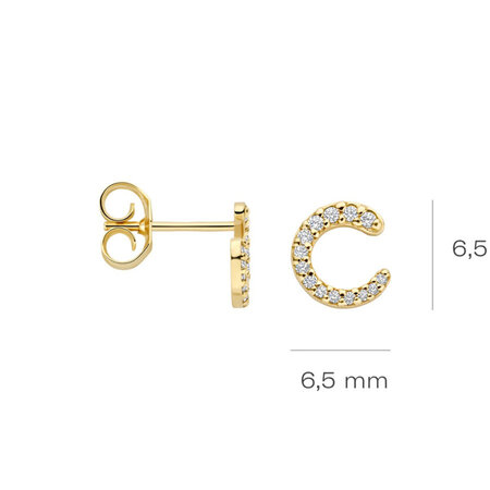 Blush Blush Oorstekers 14k geelgoud met zirkonia 7378YZI