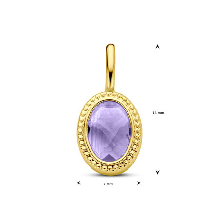 Mrs.Janssen Mrs. Janssen Hanger 14k geelgoud met Amethist 616054