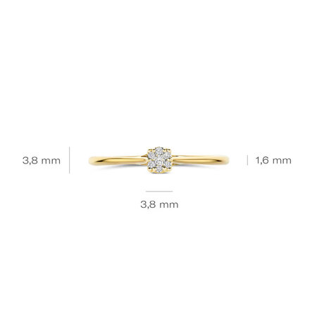 Blush Blush Diamonds Ring 14k geelgoud met diamant 1683YDI