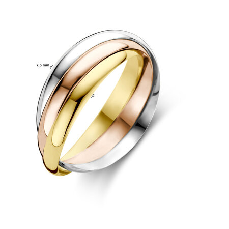 HuisCollectie HuisCollectie Ring 14k Tricolor 616125
