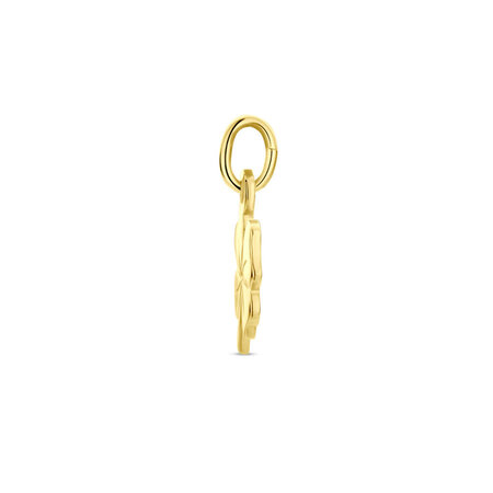 HuisCollectie HuisCollectie Hanger 14k geelgoud 601454
