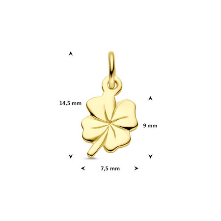 HuisCollectie HuisCollectie Hanger 14k geelgoud 601454