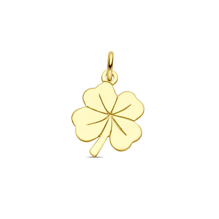 HuisCollectie HuisCollectie Hanger 14k geelgoud 616267