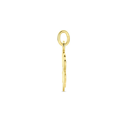 HuisCollectie HuisCollectie Hanger 14k geelgoud 616267