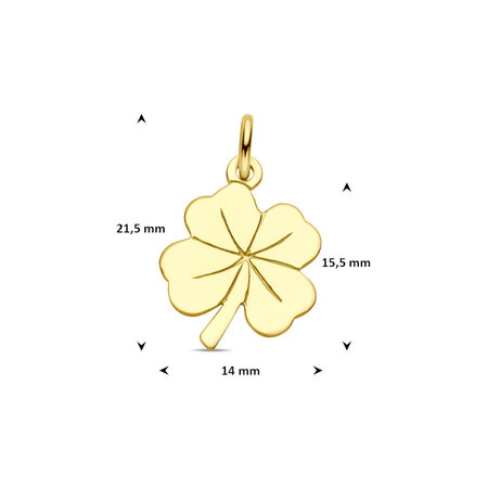 HuisCollectie HuisCollectie Hanger 14k geelgoud 616267