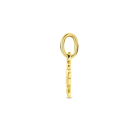 HuisCollectie HuisCollectie Hanger 14k geelgoud 24277