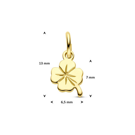 HuisCollectie HuisCollectie Hanger 14k geelgoud 24277