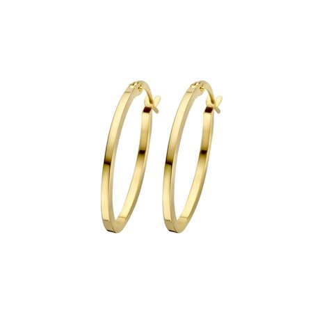 HuisCollectie HuisCollectie Creolen 14k geelgoud 613093