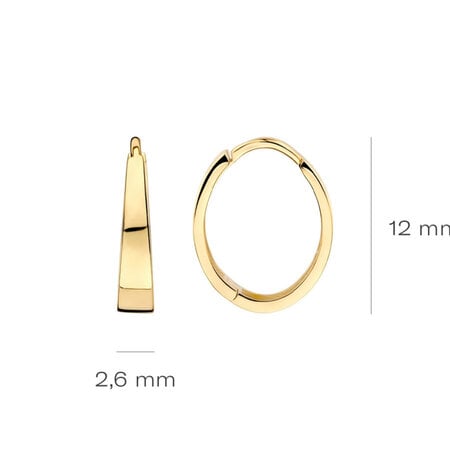 Blush Blush Creolen 14k geelgoud 7379YGO