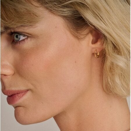 Blush Blush Creolen 14k geelgoud 7379YGO