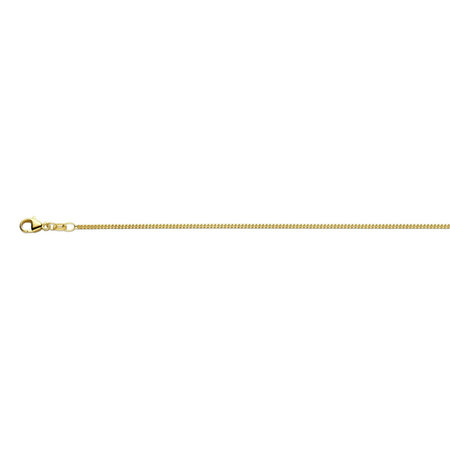 HuisCollectie HuisCollectie Collier 14k geelgoud Gourmet 1.4mm 616127