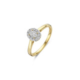 Blush Blush Lab Grown Diamonds Ring 14k geelgoud met Lab grown diamant LG1016Y