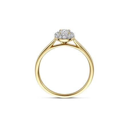 Blush Blush Lab Grown Diamonds Ring 14k geelgoud met Lab grown diamant LG1016Y