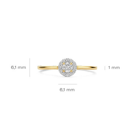 Blush Blush Lab Grown Diamonds ring 14k geelgoud met Lab Grown diamant LG1023Y