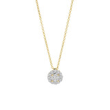 Blush Blush Lab Grown Diamonds Collier 14k geelgoud met Lab grown diamant LG3010Y